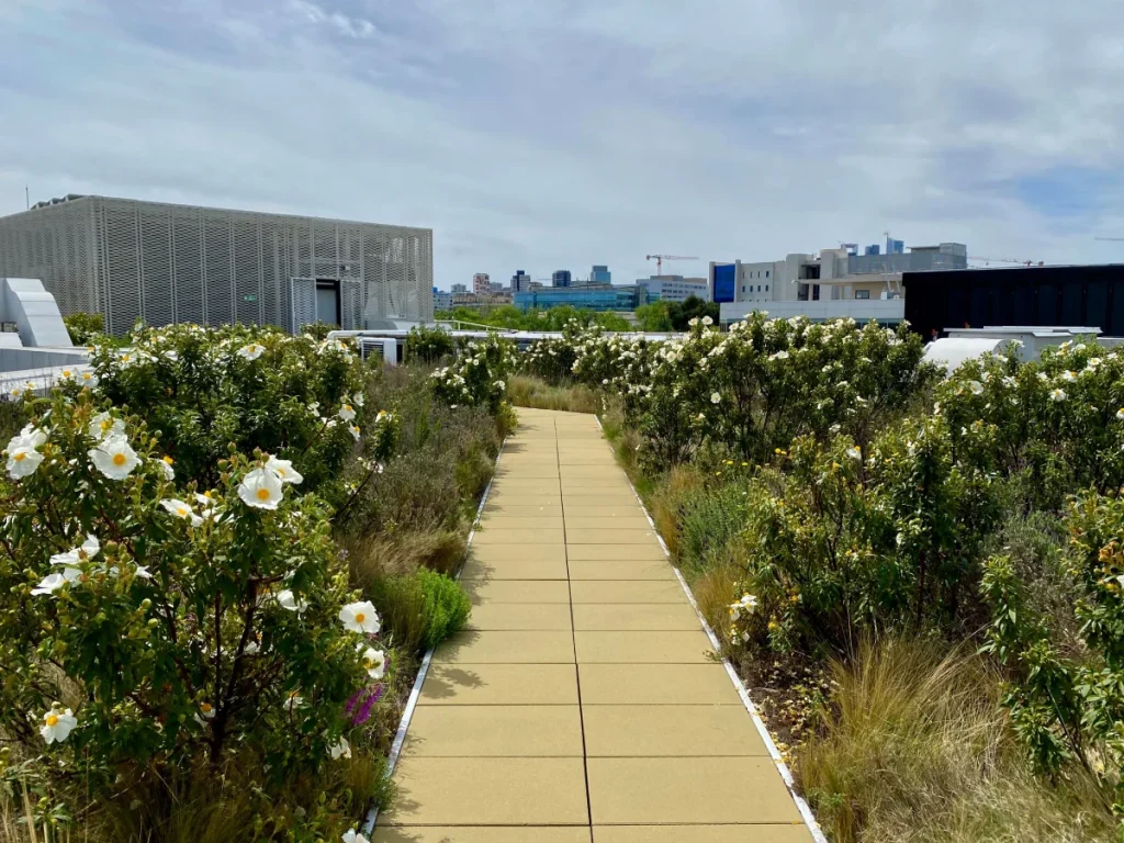 Sin categoría archivos – Liquidambar Espacios verdes urbanos, arquitectura paisajista, bienestar ciudadano, sostenibilidad urbana, jardines urbanos